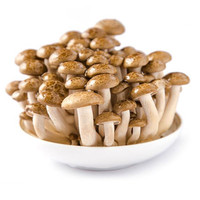 菌菇哪个牌子好_菌菇十大品牌-奥科仪粉体网