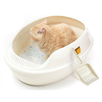 猫砂哪个牌子好_猫砂十大品牌-奥科仪粉体网